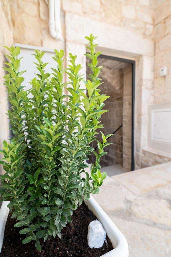 Piccola Pietra Bianca Hotell Giovinazzo Exteriör bild
